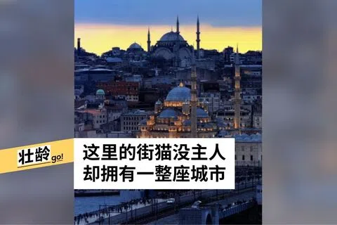 沈俊摄